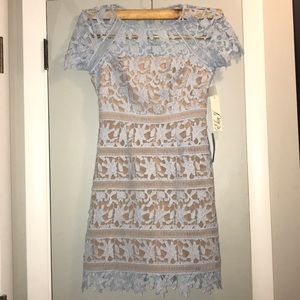 Eliza J baby blue lace nude dress 2 petite NWT $99